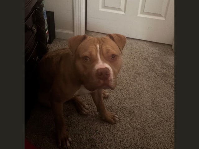 Titan