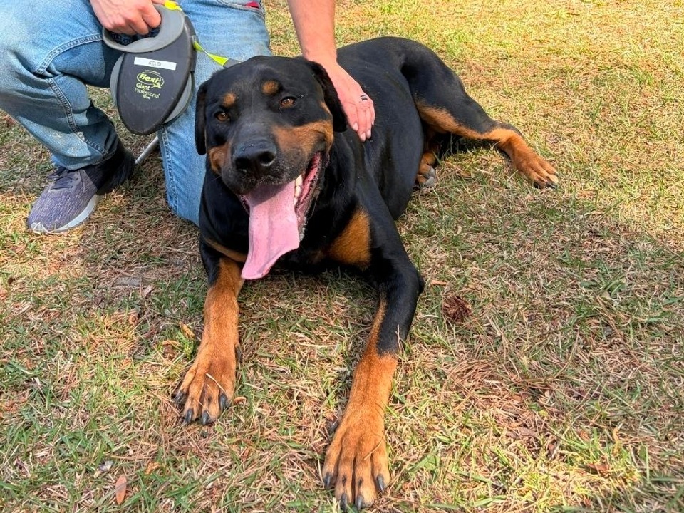 Samson