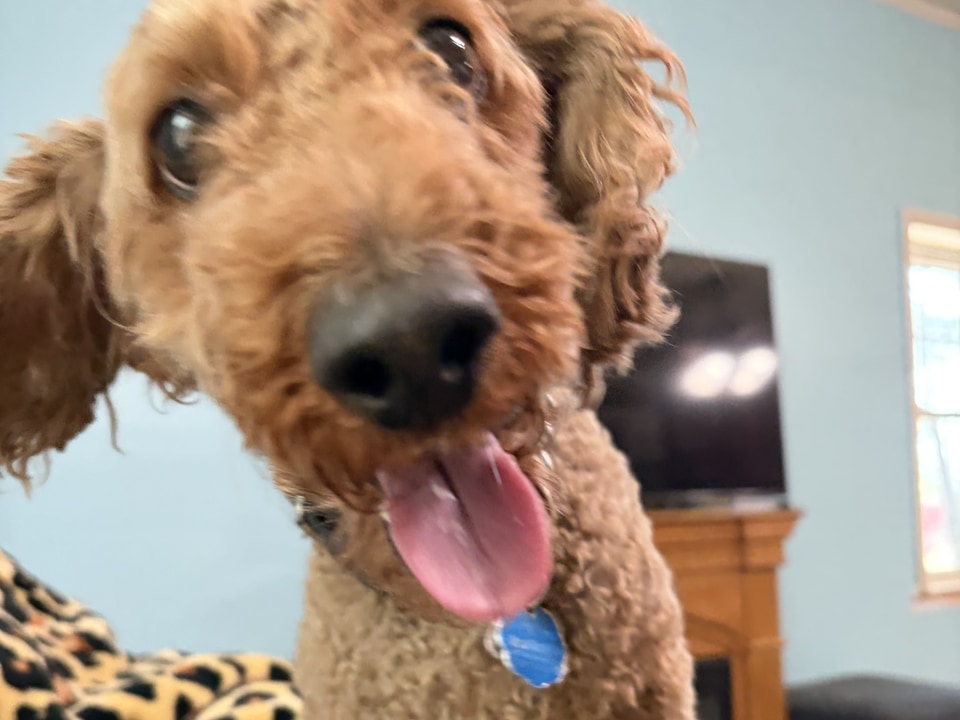 Archie