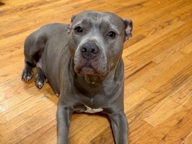 Kali